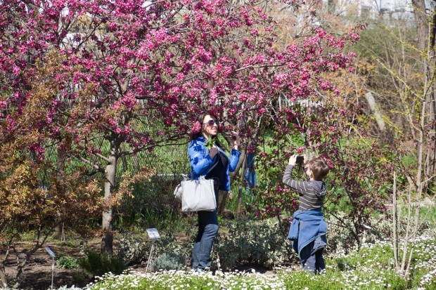 � ��� ��� �������� ������������ ��� ����������� �����������. ������ ���