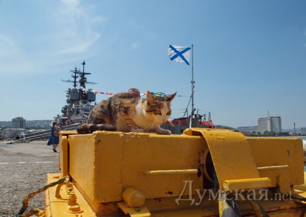 ����������� ����� � ������ �������� �������