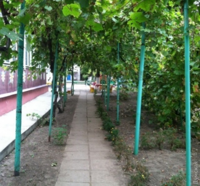 �� ����������� ��������, 17� ���������� ������� ���