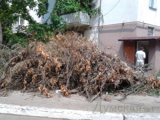 ���� ������ �������� ���� ������������� ����� ����� ��� ������� �������. ���� ���� �14 �� ����������, ����� �������� ������� ���.