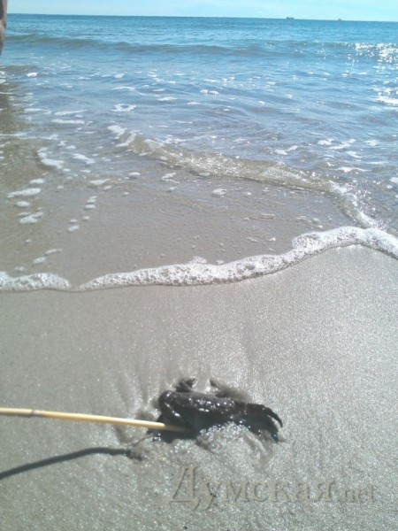 ������ ������� � ��������� ��������� ������