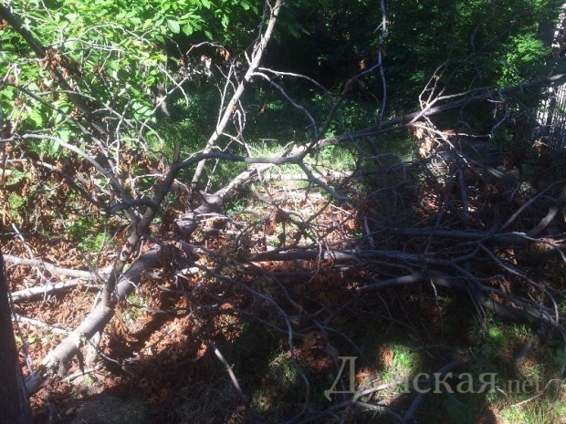 �������� ��������