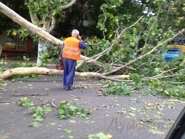 ������������ ��������