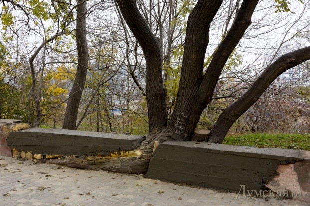 ��� ���� ������ � ���� ���������� ������� "�� ����� ������"