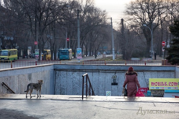 �������� ������ ����� �� �������� ��������