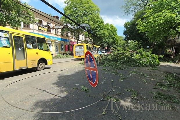 ���� ��� �� ��������