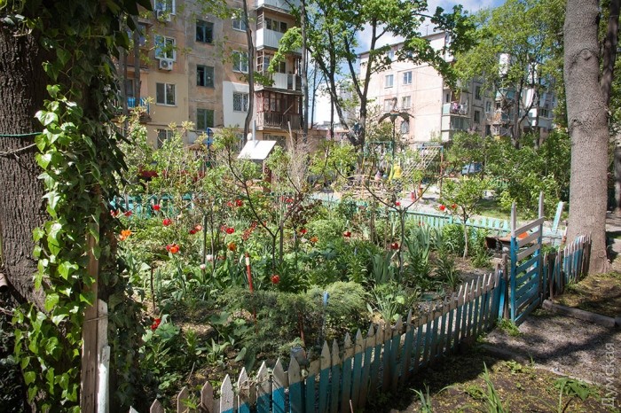 ������ � ��������� �������. ��� ���� ���������, ���� � ��� �����