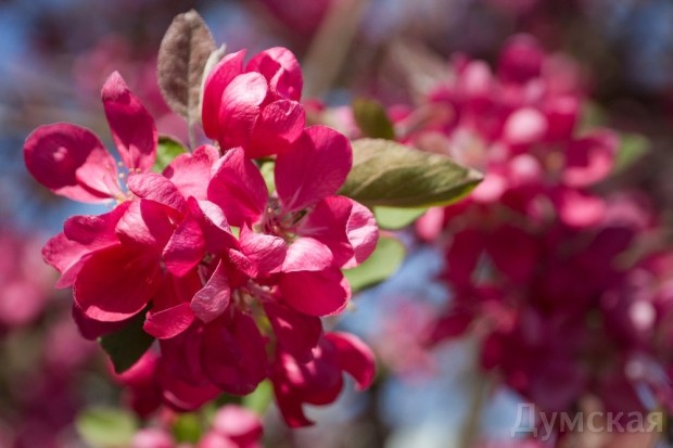 �������� ����