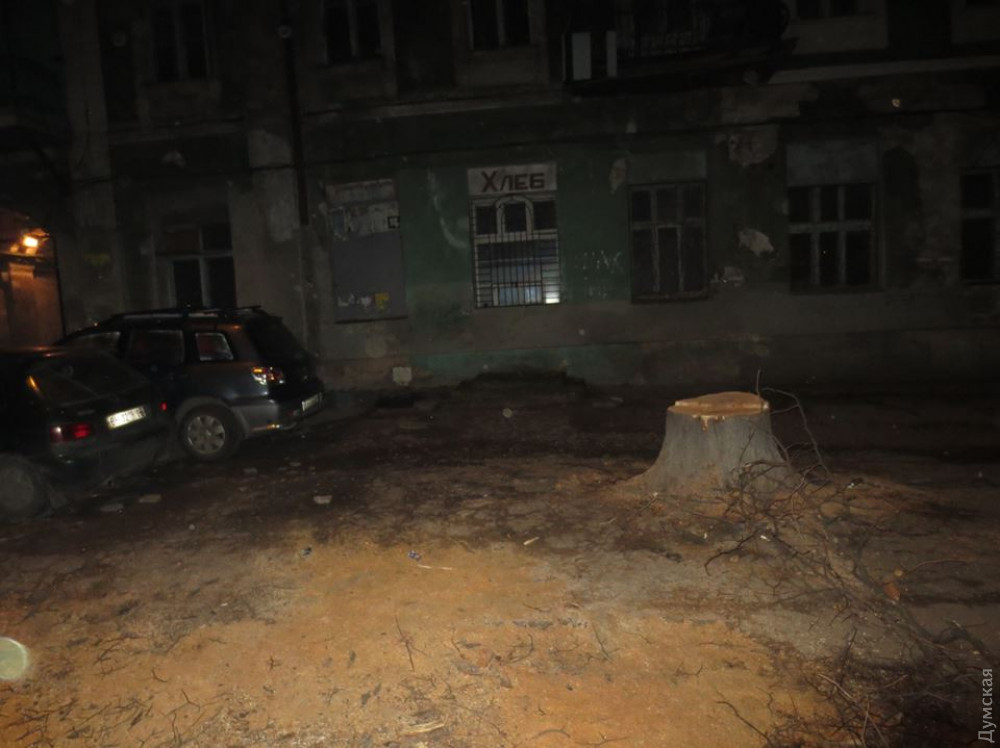 � ���� ��  5 ������ 2018-�� ������ �������