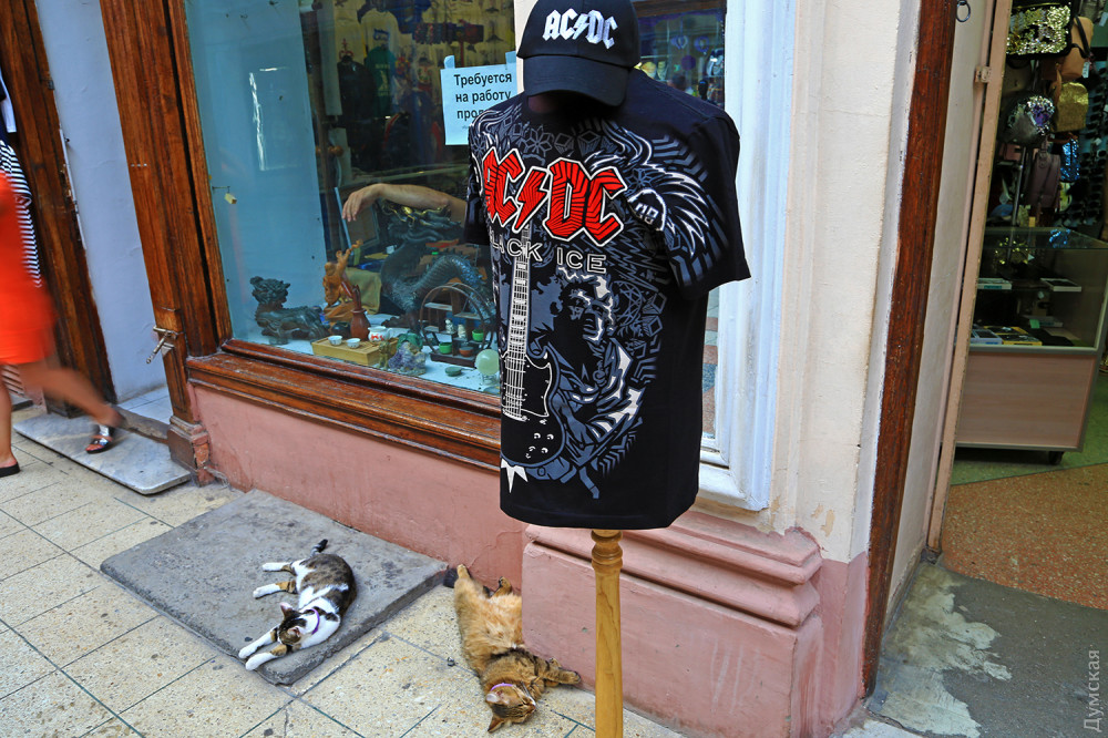 ������ ����������� � ����������� ����