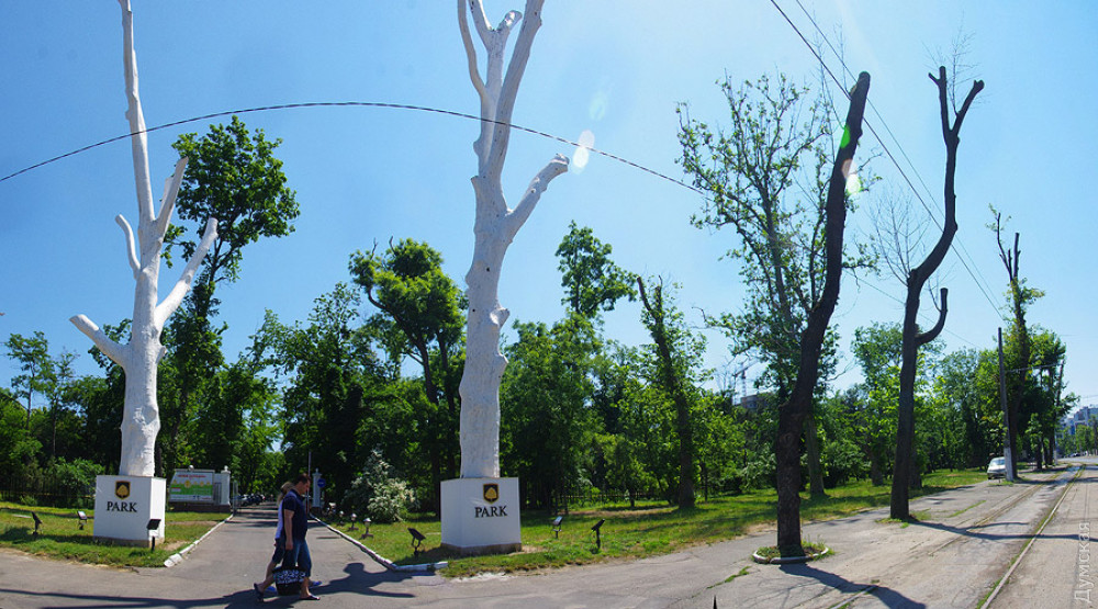 ���� 2013 ����