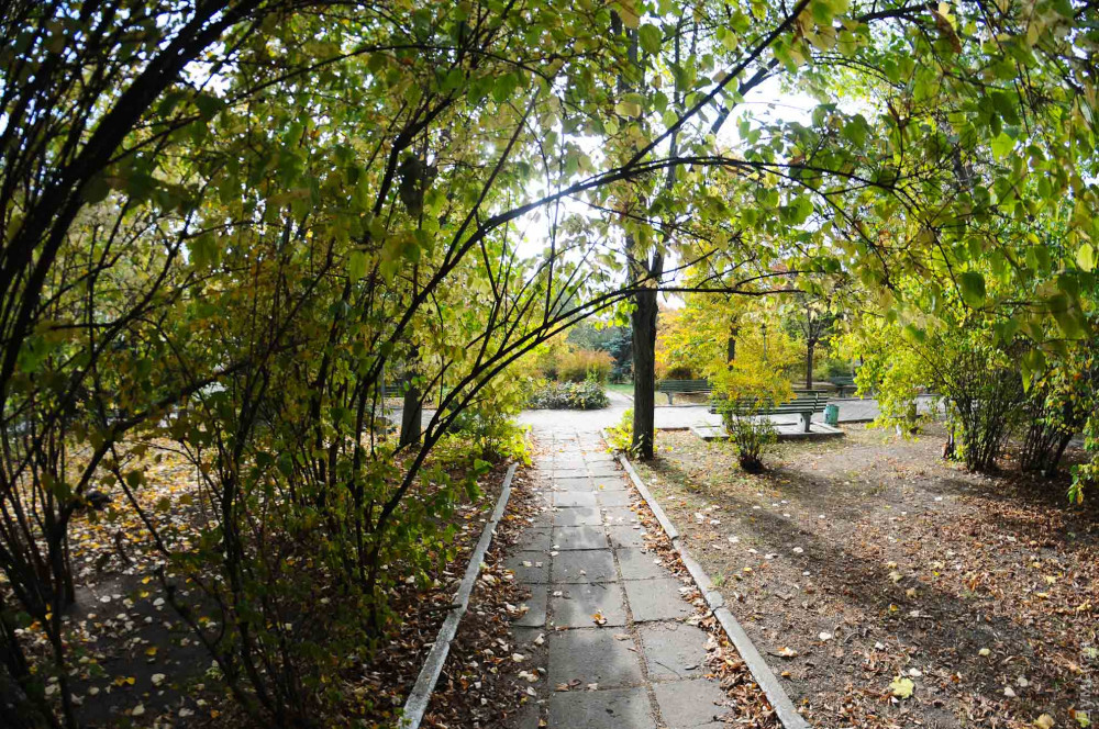 ���������, �� ������ ���� ��������� 