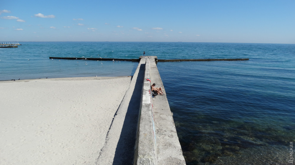 ���� "�����"