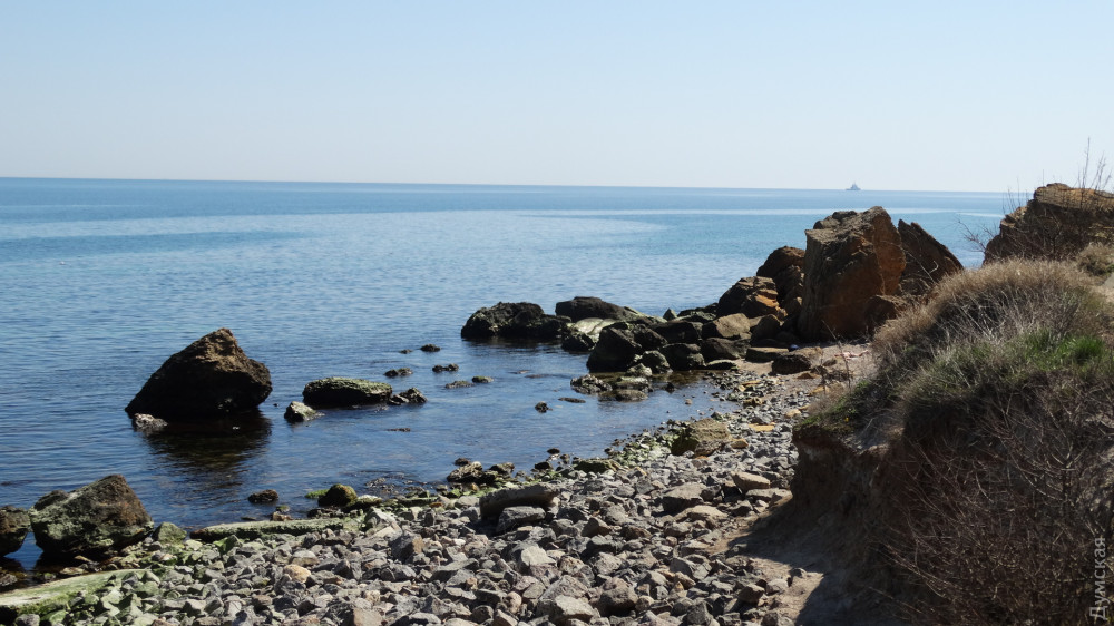 ����� ���� �� ���������