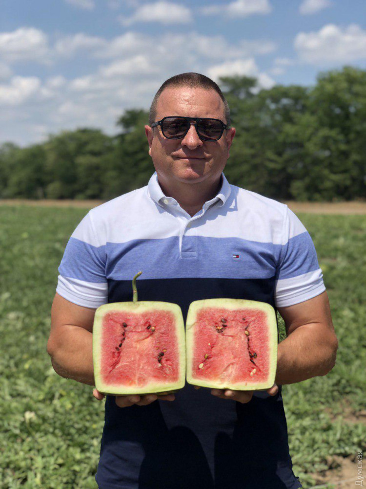 ����� �����