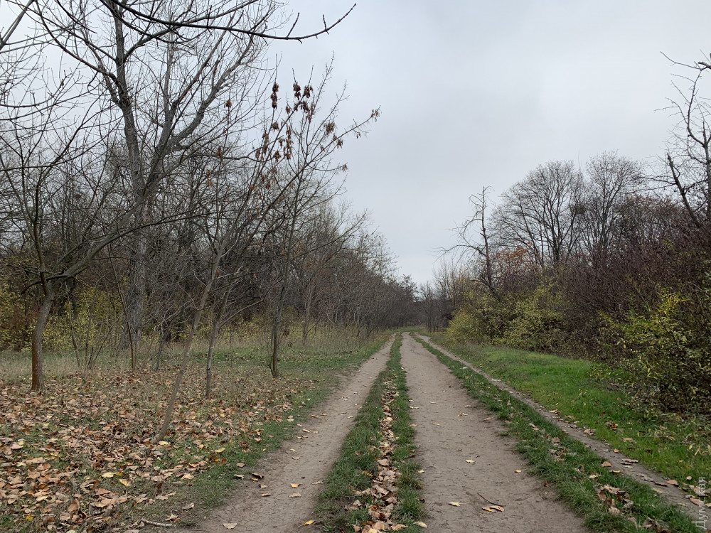 ����������� ������� ���������������� �����������