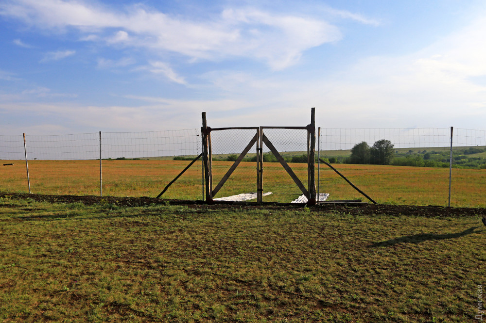 ������ � "����������� ����"