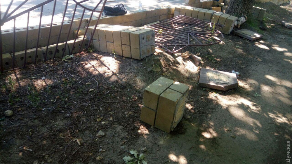 ����� � ���� - ����� �55