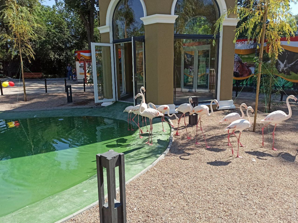 ������� �������