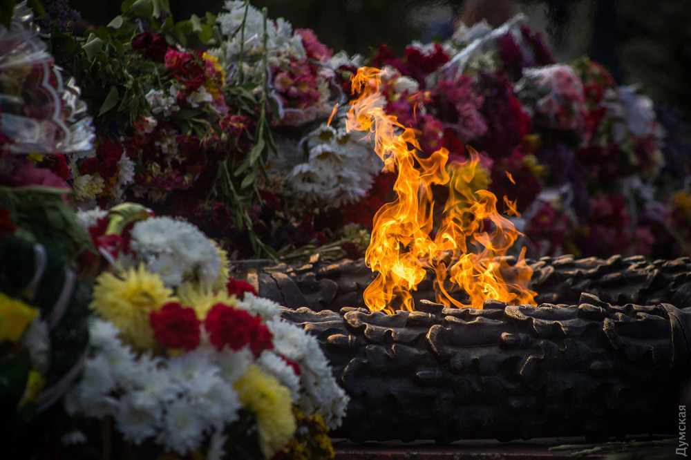 ���� ������-2020