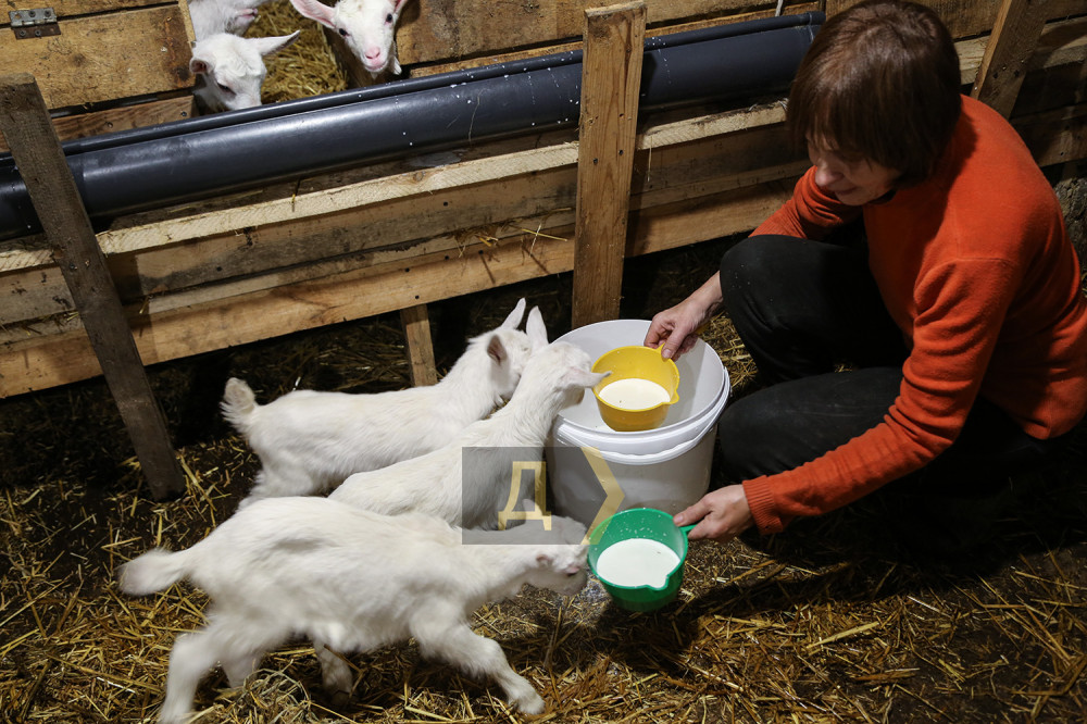 ����� ������������ ������, ������� �� ��������� �� ����� ��������