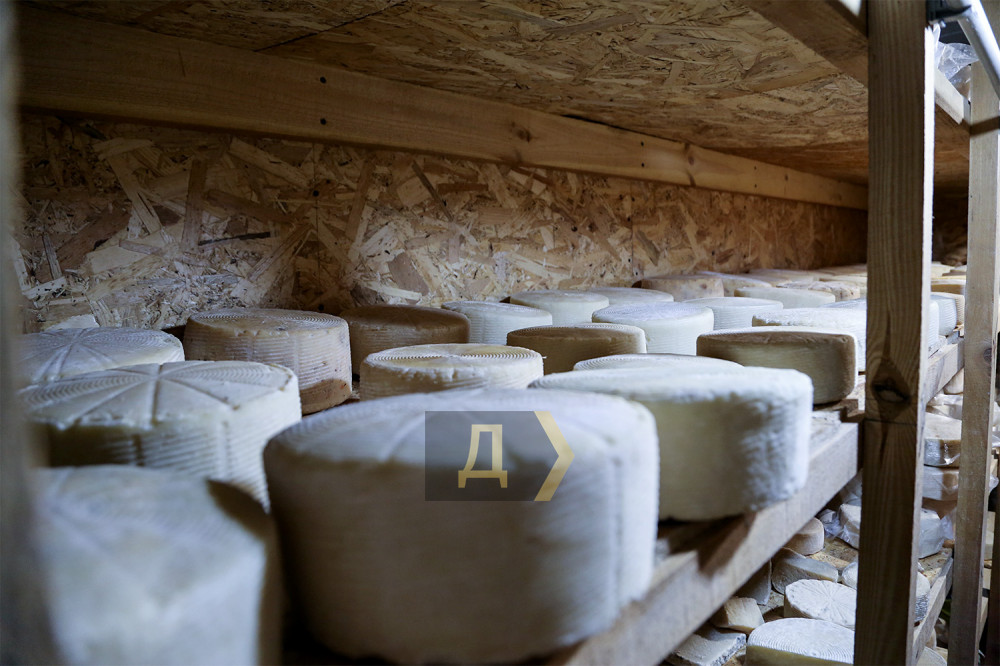 ��������� ��� �����