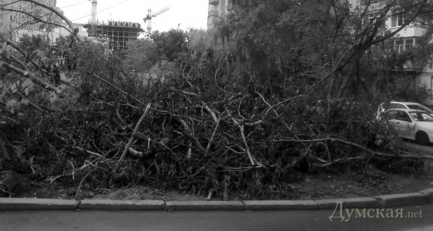 �� ����� ���������� ������ ������, ���������� �����,..