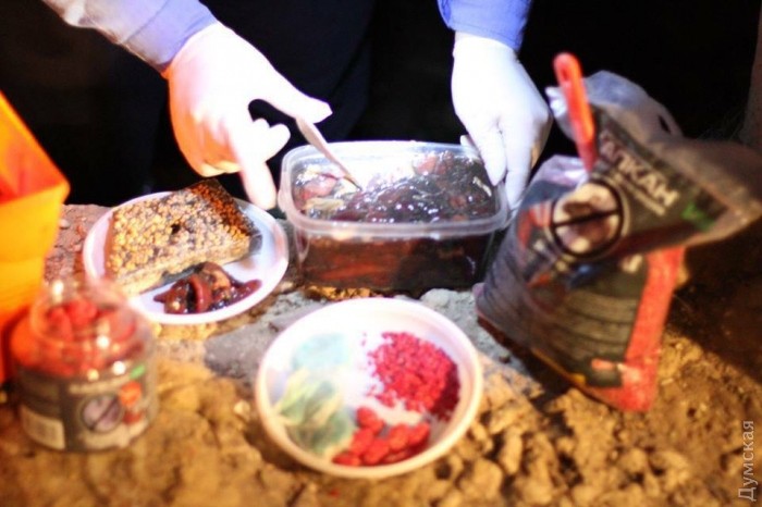 ���������� � ��������