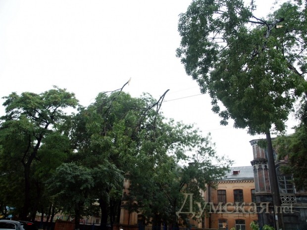 ����� �� �������� ���������� ���� �������, ���������������������. ����: �. ���������