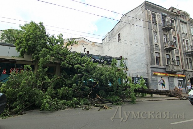 �������� ���� ��������