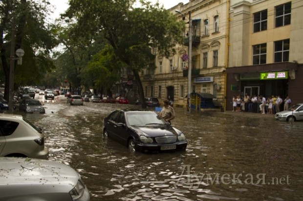 ���������. ����: ������������ "�������"