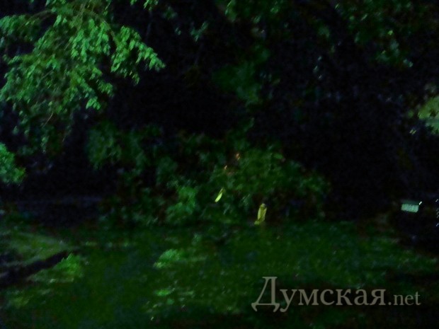 ����� �����������