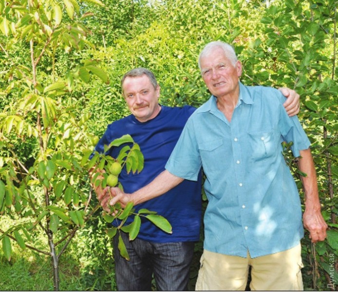 ��������� ����������� - �����