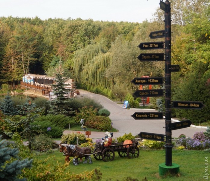 �� ������ -����� 713 ����������