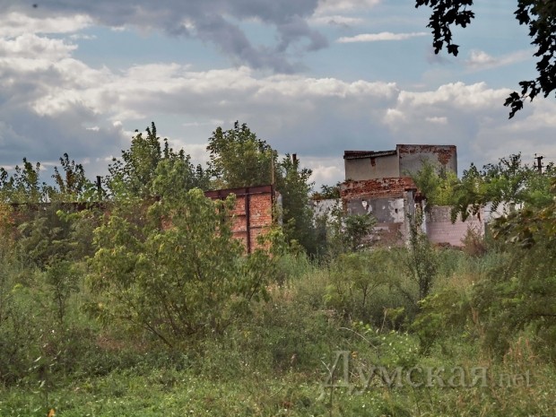 ����� �������� �������