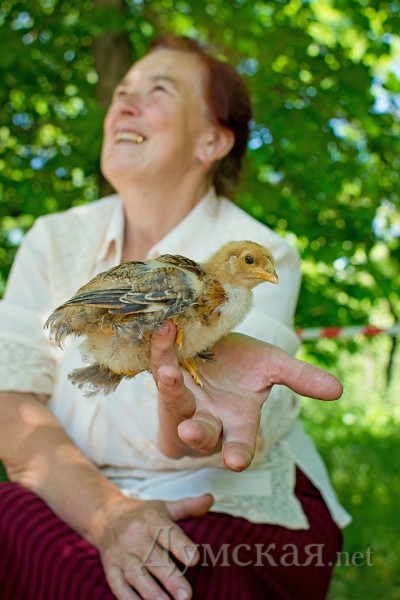 �������� ������ �����