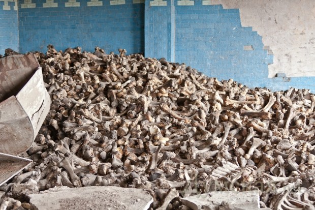 ��� �� �������� � 1945-�. ��� - �������� ������������ 