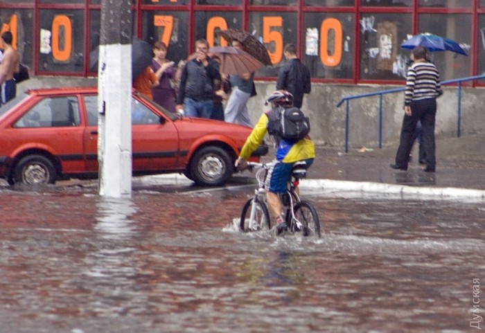 ����� ����� ������� �������� ���� �������� �������