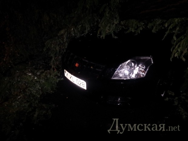 ������ ����������� �������