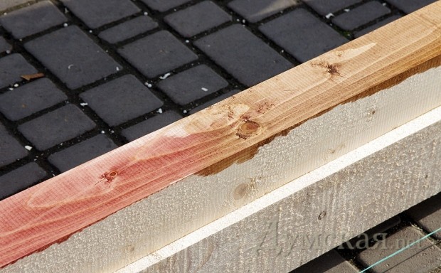 ��� � ���� - ���� ������ ������������?