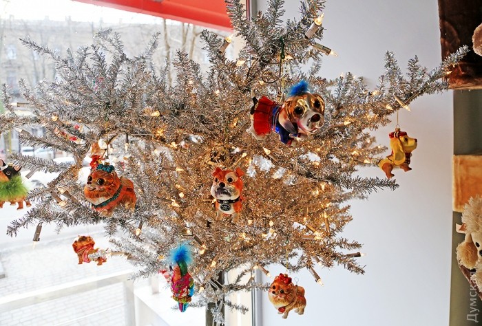 ����������� ���� � �������� ��� ��������