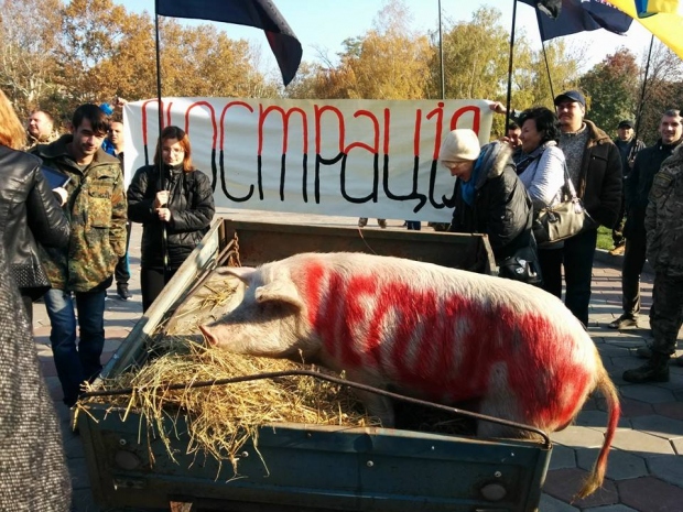 ����� ���� - ������� ����������