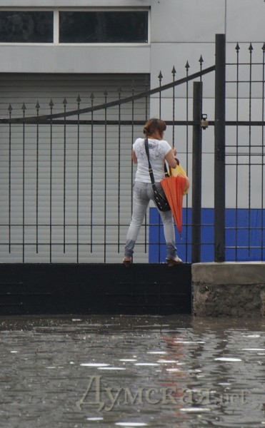 ����������. ����: ������� ��������