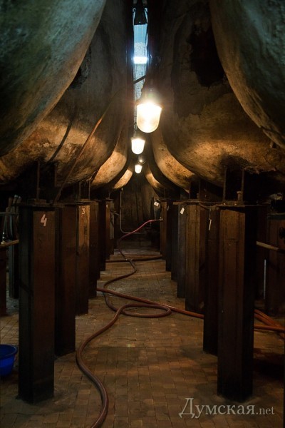 �� ���������� ����������� ����������������� ���� ��������� �� ������ ����, � ������� ��� ���������� �����������, ��� ��� ������ ������������ ��� ������������ ����������� � ��������