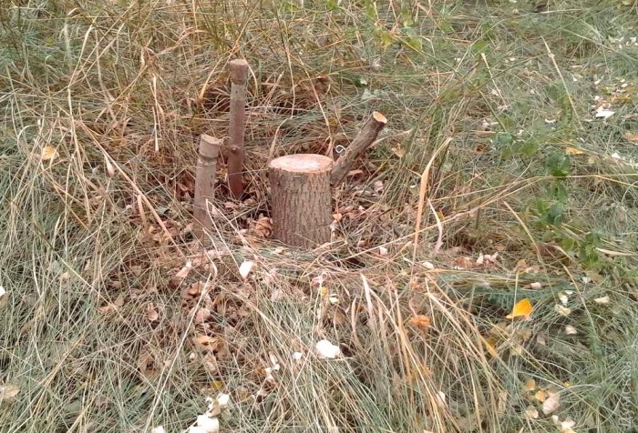 ����� � ���� ������. ������, ��� ������� �������� ������...