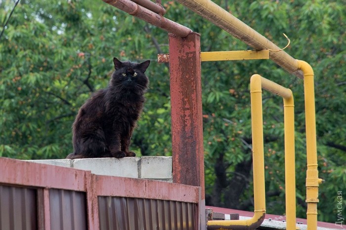 ���� ������ �� �������������