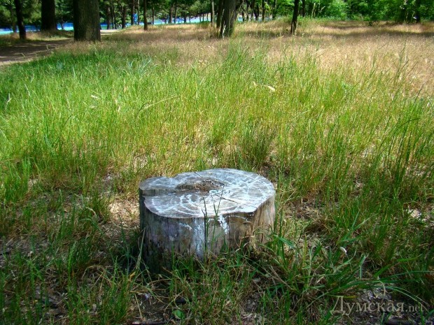 ���, ���������� �� ���������� ��������, ������ ������������� ���� 