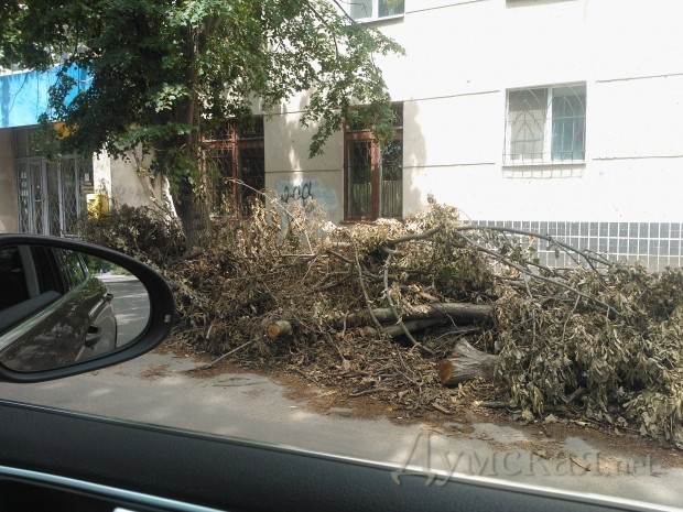 ��������� ����� �49