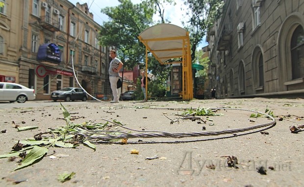 ���������. ��������.