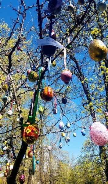 ���� ������ �������